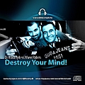 Dj Hlásznyik vs. Wave Riders - Destroy Your Mind maxi lemez borító! Letölthető zenék, remixek, stb!